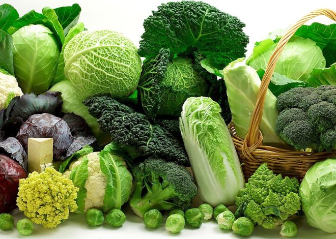 Sayuran Berpengaruh Pada Berat Badan