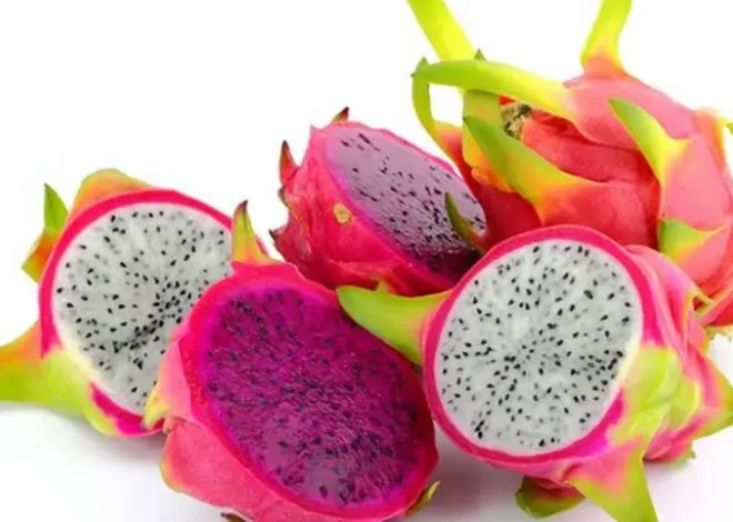 5 Manfaat Buah Naga Kaya Nutrisi Untuk Kesehatan Tubuh