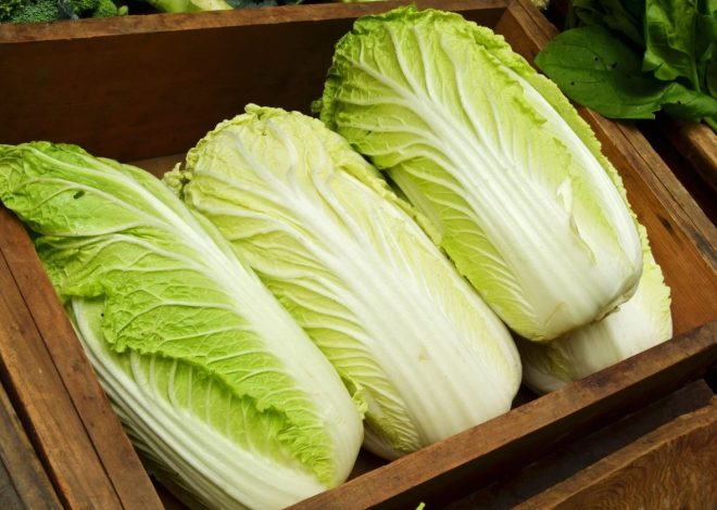 5 Manfaat Sawi Putih Untuk Kesehatan Tubuh