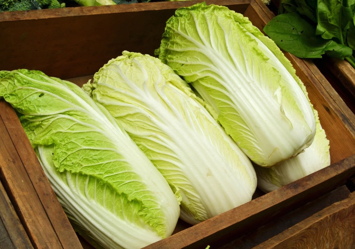 5 Manfaat Sawi Putih Untuk Kesehatan Tubuh