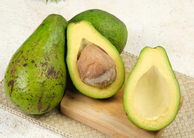 6 Manfaat Alpukat untuk Kesehatan Tubuh dan Kulit kaya Nutrisi