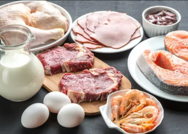 Makanan Sehat Untuk Menunjang Performa Tubuh