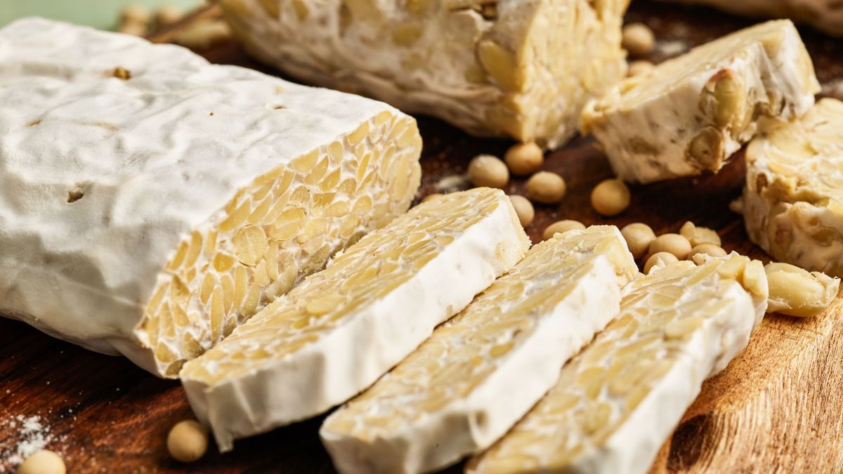 Mengapa Tubuh Menyerap Nutrisi Tempe