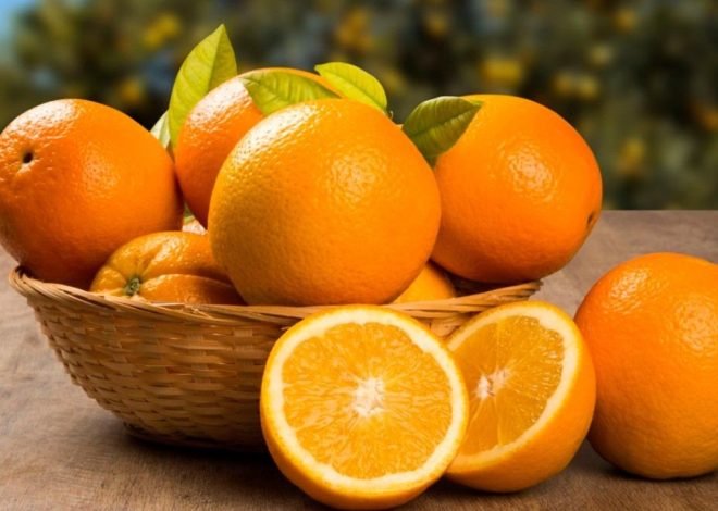 Nutrisi Utama Jeruk untuk Menjaga Imunitas