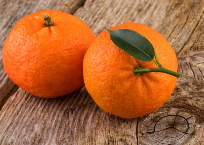 Manfaat Jeruk Mandarin yang Baik untuk Kesehatan Kaya nutrisi