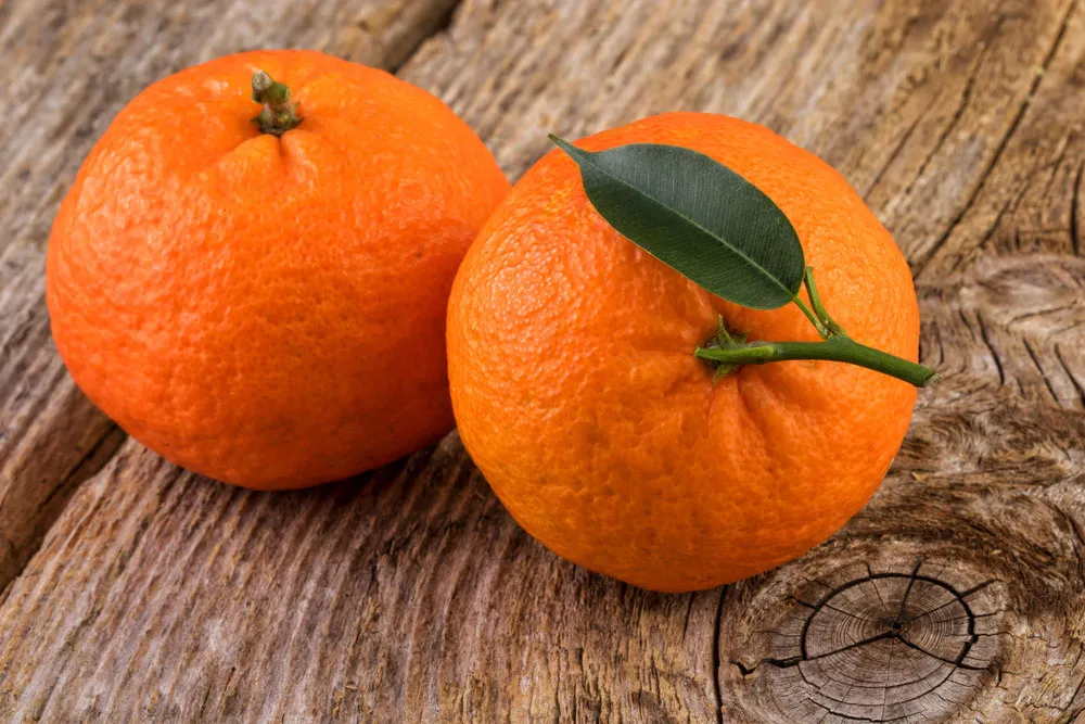 Manfaat Jeruk Mandarin yang Baik untuk Kesehatan Kaya nutrisi