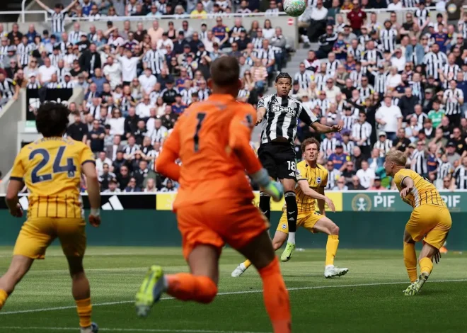 Hasil Newcastle vs Brighton 3-1