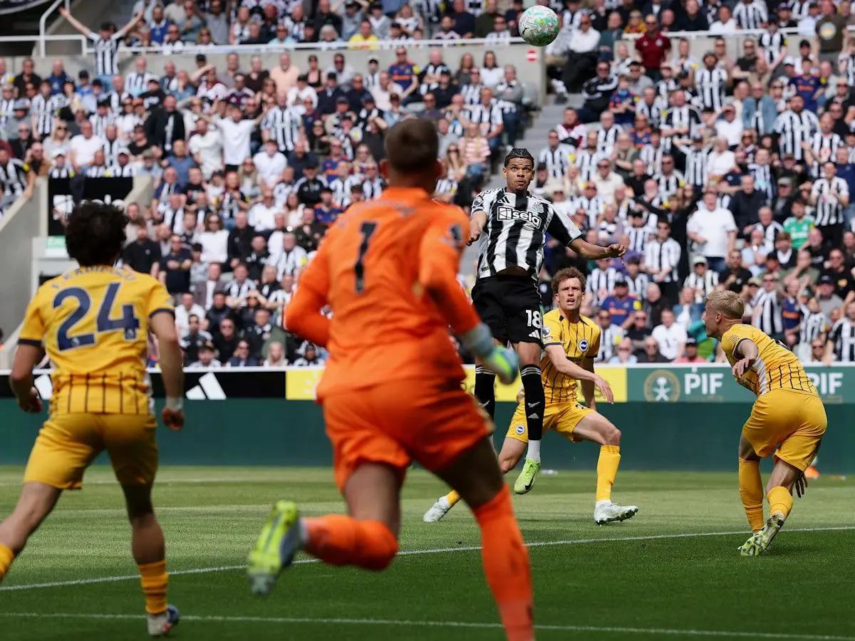 Hasil Newcastle vs Brighton 3-1